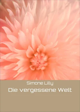 Simone Lilly Die vergessene Welt обложка книги
