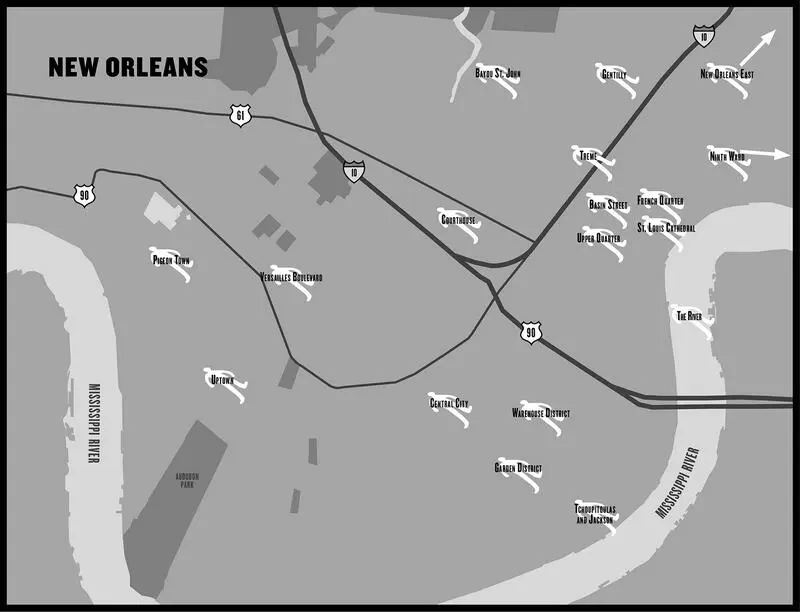 Introduction The Many Ways It Can All Go Away Just after Hurricane Katrina - фото 1