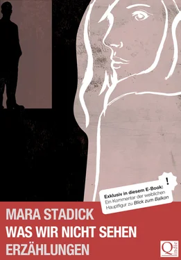 Mara Stadick Was wir nicht sehen обложка книги