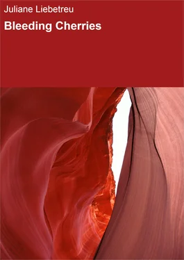 Juliane Liebetreu Bleeding Cherries обложка книги