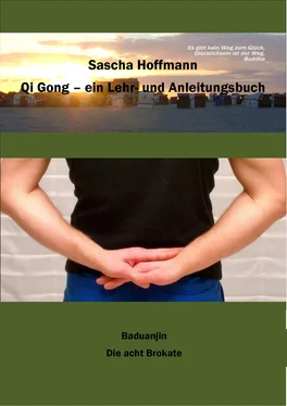 Sascha Hoffmann Qi Gong - Ein Lehr- und Anleitungsbuch обложка книги