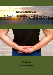 Sascha Hoffmann - Qi Gong - Ein Lehr- und Anleitungsbuch