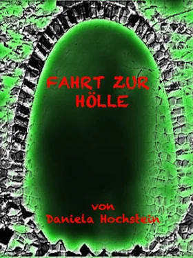 Daniela Hochstein Fahrt zur Hölle обложка книги