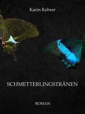 Karin Kehrer Schmetterlingstränen обложка книги