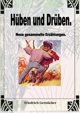 Friedrich Gerstäcker Hüben und Drüben обложка книги