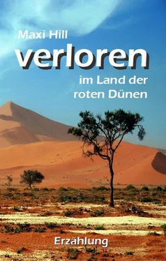 Maxi Hill Verloren im Land der roten Dünen обложка книги