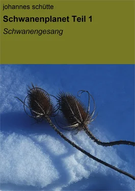 Johannes Schütte Schwanenplanet обложка книги