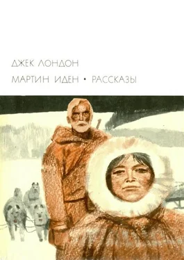 Джек Лондон Мартин Иден. Рассказы обложка книги