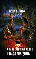 Виктор Глумов - Глазами Зоны