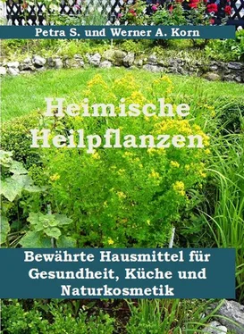 Werner A. Korn Heimische Heilpflanzen обложка книги