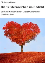 Christian Bales - Die 12 Sternzeichen im Gedicht