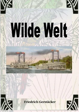 Friedrich Gerstäcker Wilde Welt обложка книги
