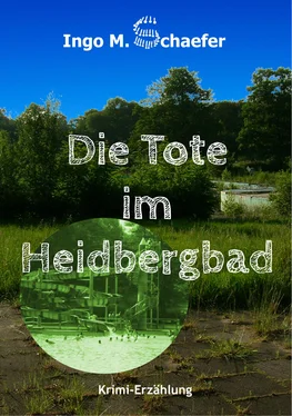 Ingo M. Schaefer Die Tote im Heidbergbad обложка книги