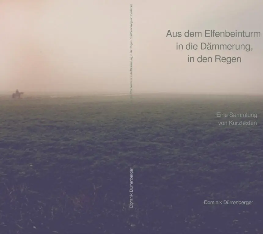 Zum Autor Dominik Dürrenberger ist freier Lektor und Autor eines Kinderbuches - фото 1