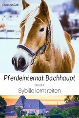 Christine Rödl - Sybille lernt reiten