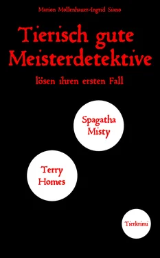 Marion Mollenhauer + Ingrid Siano Tierisch gute Meisterdetektive обложка книги