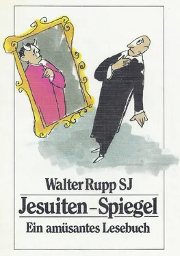 Walter Rupp Jesuiten-Spiegel обложка книги