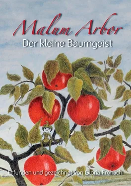 Gloria Fröhlich MALUM-ARBOR, DER KLEINE BAUMGEIST обложка книги