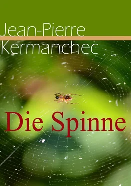 Jean-Pierre Kermanchec Die Spinne обложка книги