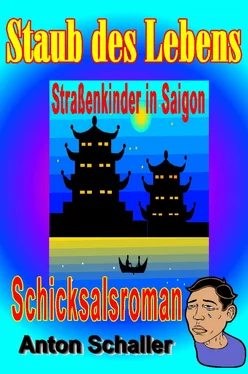 Anton Schaller Staub des Lebens обложка книги
