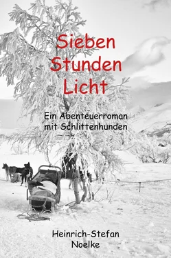 Heinrich-Stefan Noelke Sieben Stunden Licht обложка книги