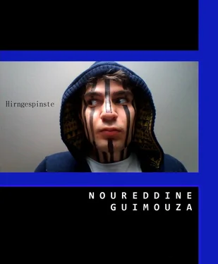Noureddine Guimouza Hirngespinste обложка книги