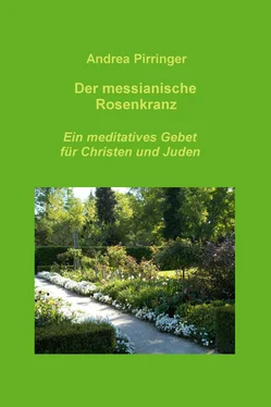 Andrea Pirringer Der messianische Rosenkranz обложка книги