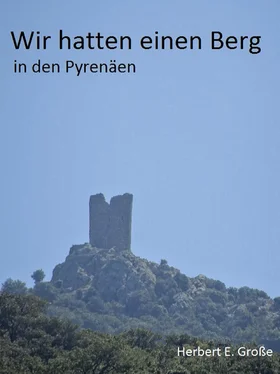 Herbert E. Große Wir hatten einen Berg in den Pyrenäen обложка книги