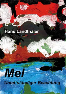Hans Landthaler Mel обложка книги
