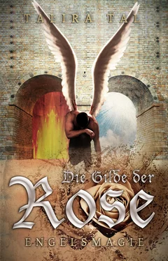 Talira Tal Die Gilde der Rose -Engelsmagie- обложка книги