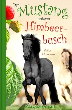 Julia Meumann Der Mustang unterm Himbeerbusch обложка книги