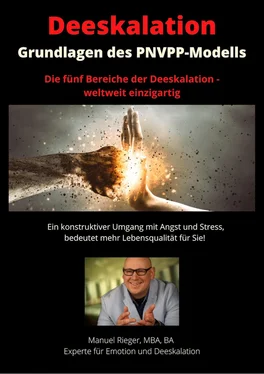 Manuel Rieger Grundlagen der Deeskalation обложка книги