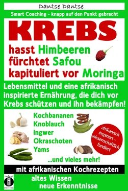 Dantse Dantse KREBS hasst Himbeeren, fürchtet Safou und kapituliert vor Moringa обложка книги