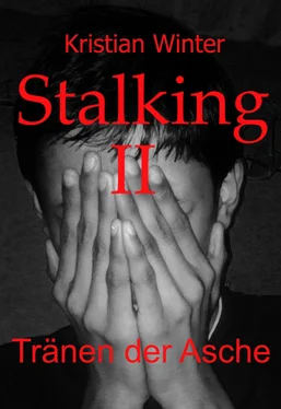Kristian Winter Stalking II обложка книги