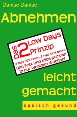 Dantse Dantse Abnehmen leicht gemacht - Das 2 Low Days Prinzip обложка книги