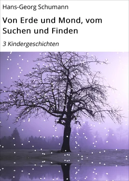 Hans-Georg Schumann Von Erde und Mond, vom Suchen und Finden