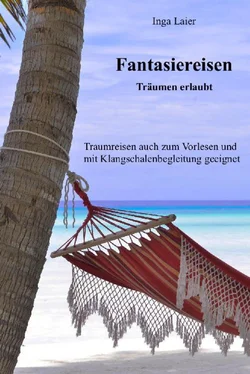 Inga Laier Fantasiereisen - Träumen erlaubt обложка книги