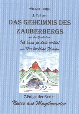 Wilma Burk Das Geheimnis des Zauberbergs 2. Teil обложка книги