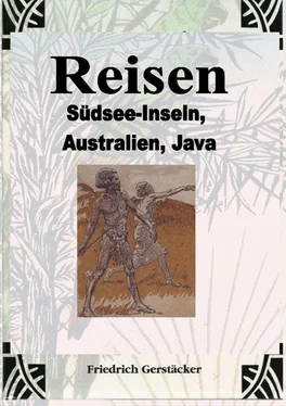 Friedrich Gerstäcker Reisen Band 2 обложка книги