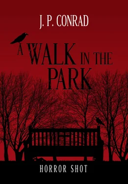 J.P. Conrad A Walk In The Park обложка книги
