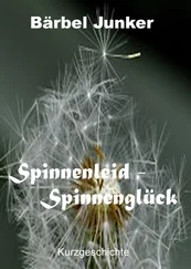 Bärbel Junker - Spinnenleid - Spinnenglück