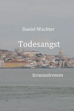 Daniel Wächter Todesangst обложка книги