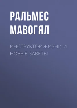 Ральмес Мавогял Инструктор жизни и новые заветы обложка книги