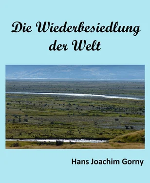 Hans Joachim Gorny Die Wiederbesiedelung der Welt обложка книги