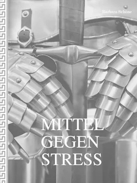 Barbara Schöne Mittel gegen Stress обложка книги