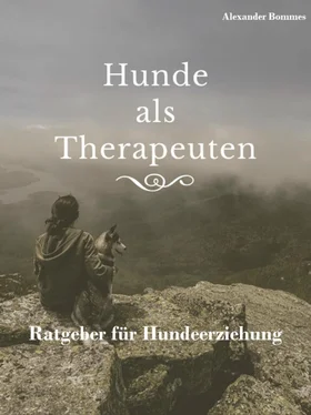 Alexander Bommes Hunde als Therapeuten обложка книги