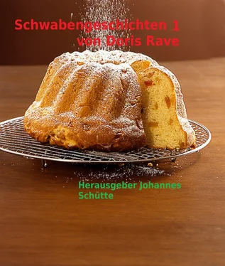 Johannes Schütte Schwabengeschichten 1 обложка книги