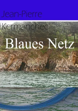 Jean-Pierre Kermanchec Blaues Netz обложка книги