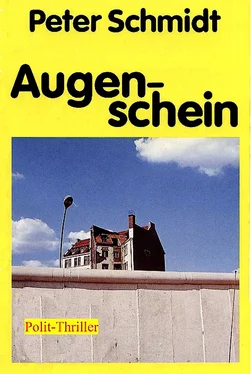 Peter Schmidt Augenschein обложка книги