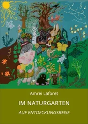 Amrei Laforet - IM NATURGARTEN